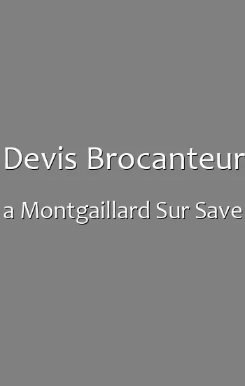 Devis Brocanteur a Montgaillard Sur Save
