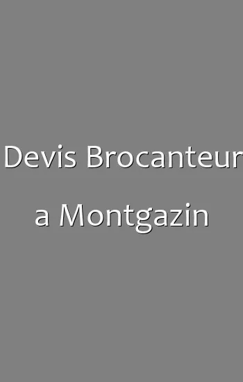Devis Brocanteur a Montgazin