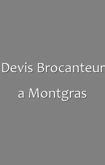 Devis Brocanteur a Montgras