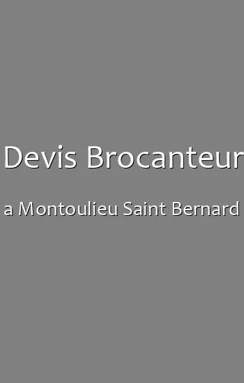 Devis Brocanteur a Montoulieu Saint Bernard