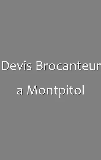 Devis Brocanteur a Montpitol