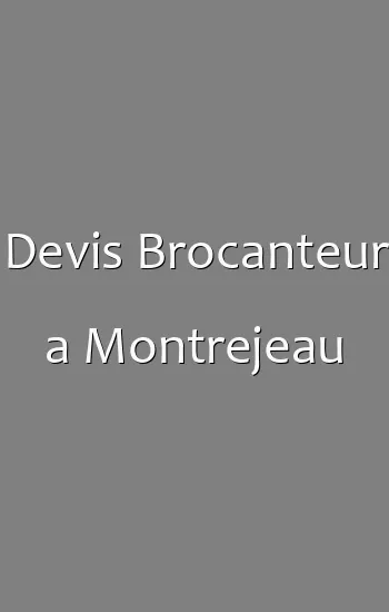 Devis Brocanteur a Montrejeau