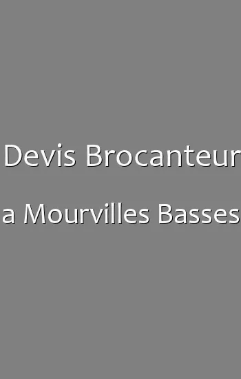 Devis Brocanteur a Mourvilles Basses