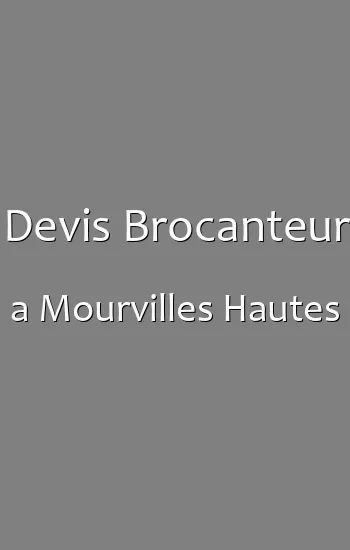 Devis Brocanteur a Mourvilles Hautes