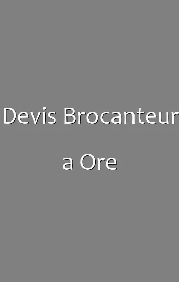 Devis Brocanteur a Ore