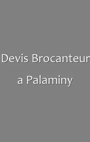 Devis Brocanteur a Palaminy