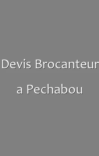 Devis Brocanteur a Pechabou