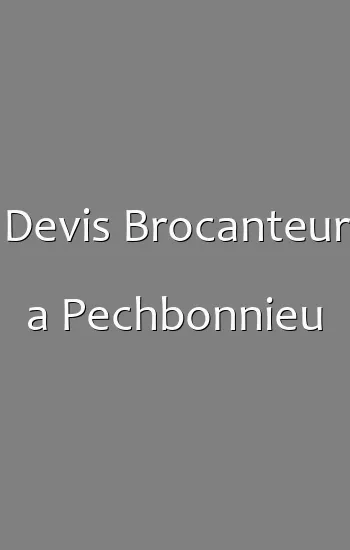 Devis Brocanteur a Pechbonnieu