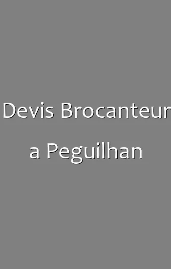 Devis Brocanteur a Peguilhan