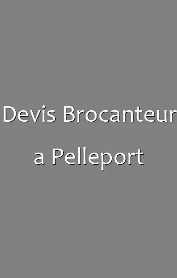 Devis Brocanteur a Pelleport
