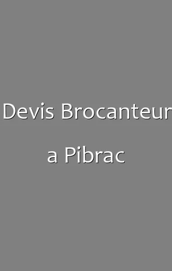 Devis Brocanteur a Pibrac