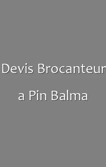 Devis Brocanteur a Pin Balma