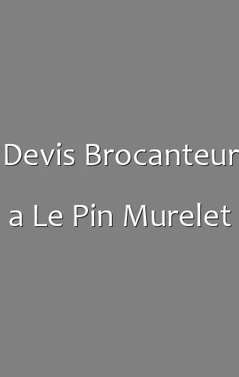Devis Brocanteur a Le Pin Murelet