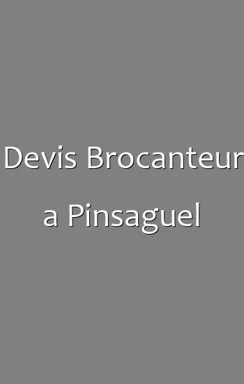 Devis Brocanteur a Pinsaguel
