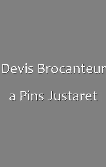 Devis Brocanteur a Pins Justaret
