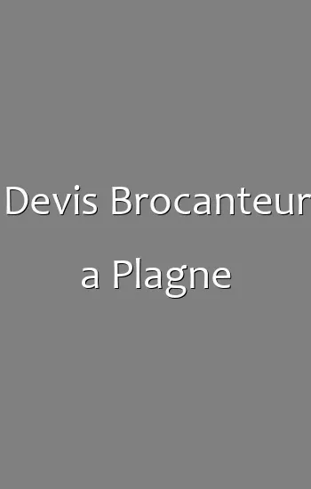 Devis Brocanteur a Plagne