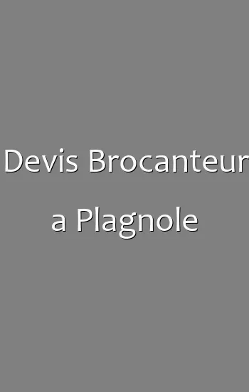 Devis Brocanteur a Plagnole