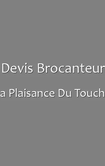 Devis Brocanteur a Plaisance Du Touch