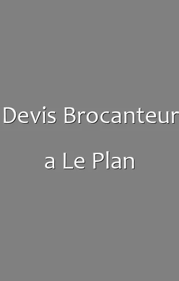 Devis Brocanteur a Le Plan