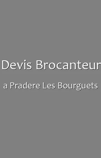 Devis Brocanteur a Pradere Les Bourguets