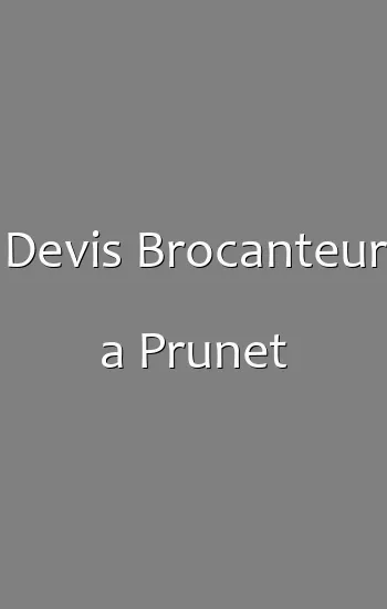 Devis Brocanteur a Prunet