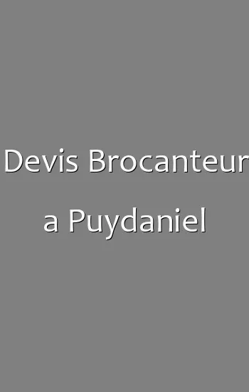 Devis Brocanteur a Puydaniel