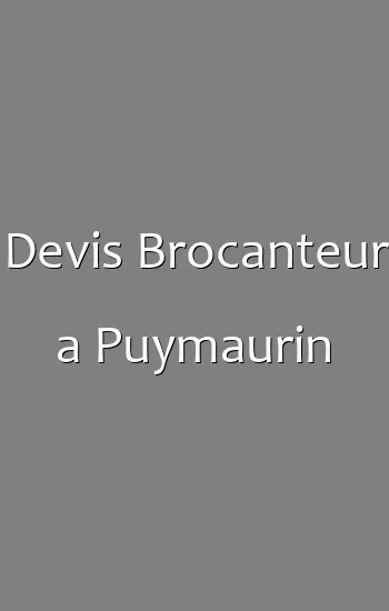 Devis Brocanteur a Puymaurin