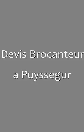 Devis Brocanteur a Puyssegur