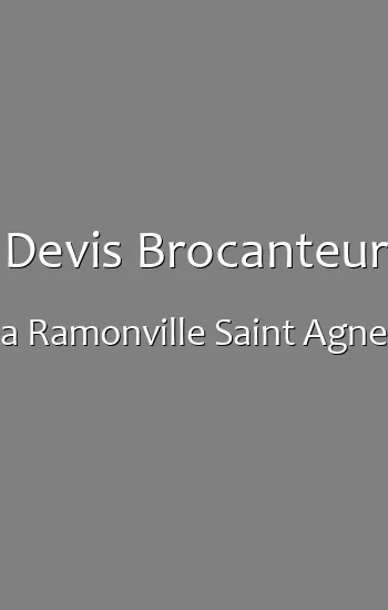 Devis Brocanteur a Ramonville Saint Agne