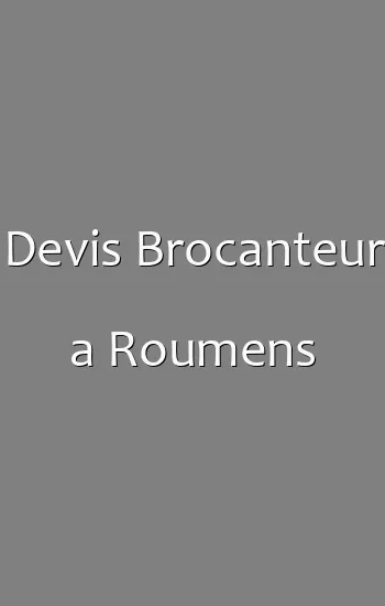 Devis Brocanteur a Roumens