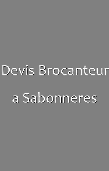 Devis Brocanteur a Sabonneres