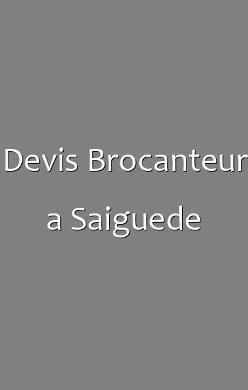 Devis Brocanteur a Saiguede