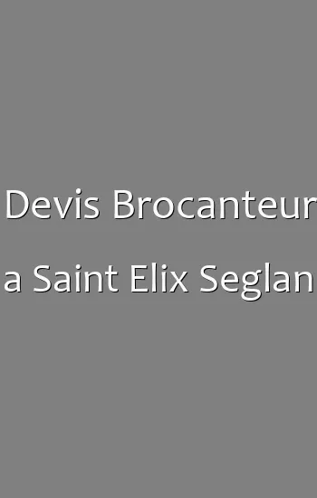 Devis Brocanteur a Saint Elix Seglan