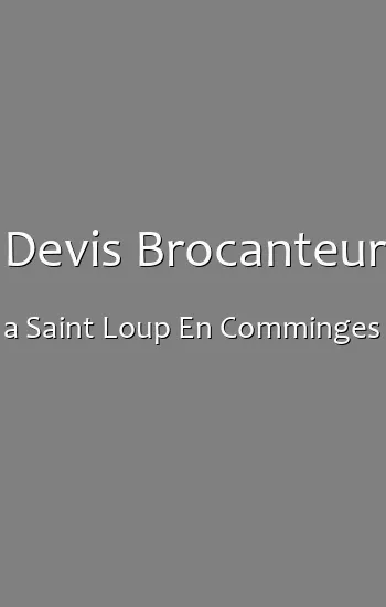 Devis Brocanteur a Saint Loup En Comminges