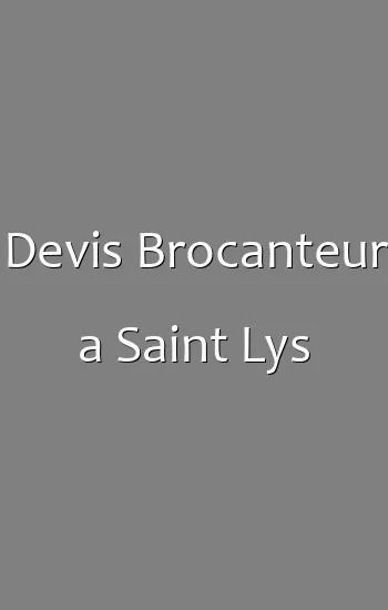 Devis Brocanteur a Saint Lys