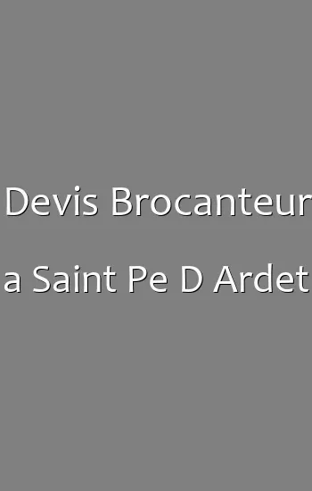 Devis Brocanteur a Saint Pe D Ardet