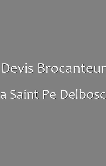 Devis Brocanteur a Saint Pe Delbosc