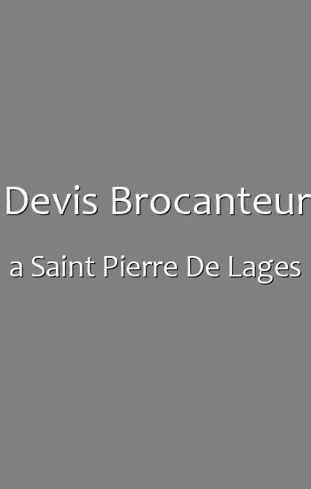 Devis Brocanteur a Saint Pierre De Lages