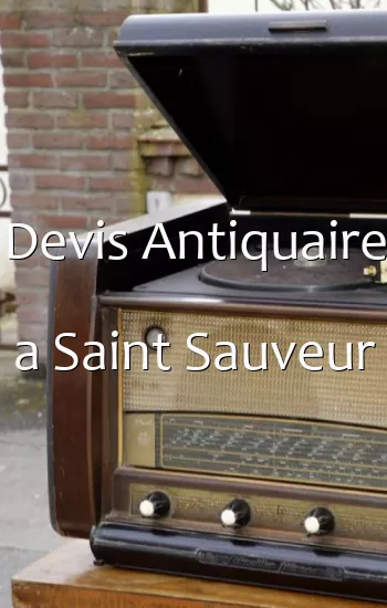 Devis Antiquaire a Saint Sauveur