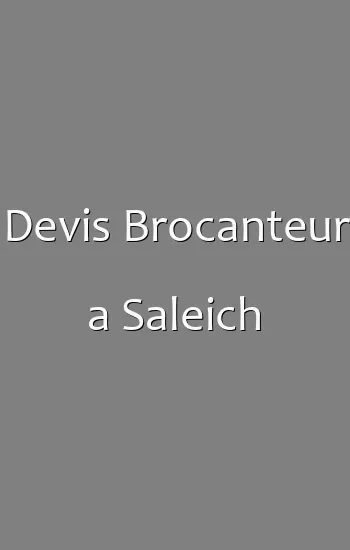 Devis Brocanteur a Saleich