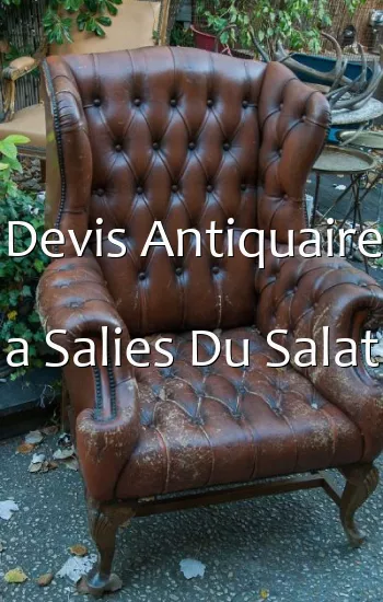 Devis Antiquaire a Salies Du Salat