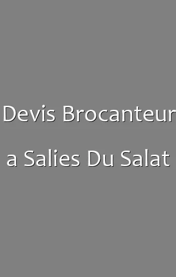 Devis Brocanteur a Salies Du Salat
