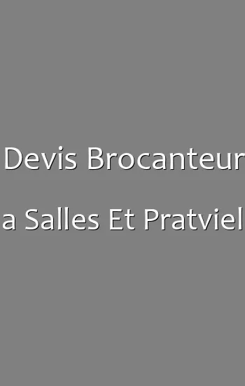 Devis Brocanteur a Salles Et Pratviel