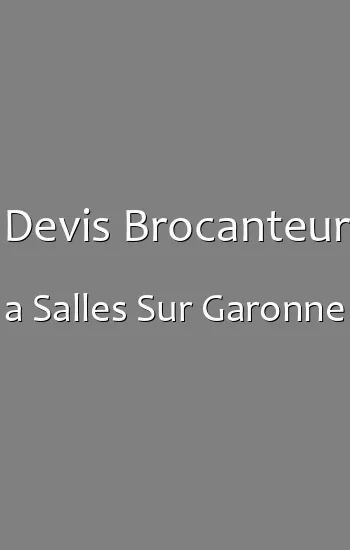 Devis Brocanteur a Salles Sur Garonne