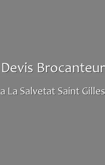 Devis Brocanteur a La Salvetat Saint Gilles