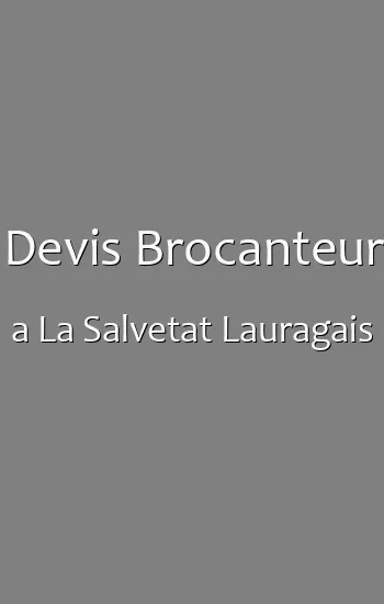 Devis Brocanteur a La Salvetat Lauragais
