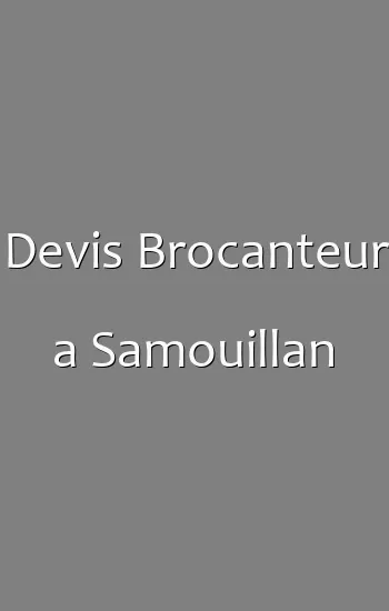 Devis Brocanteur a Samouillan