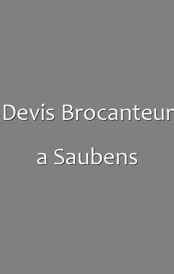 Devis Brocanteur a Saubens