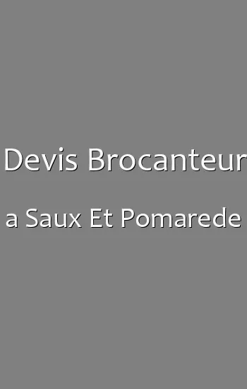 Devis Brocanteur a Saux Et Pomarede