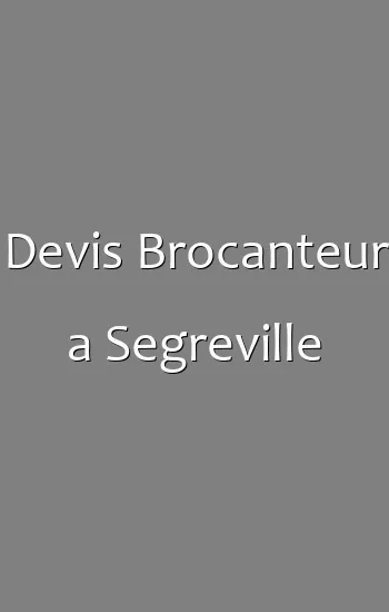 Devis Brocanteur a Segreville